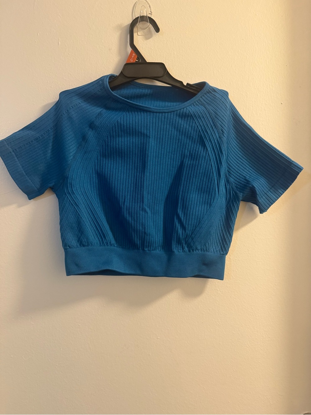 SHEIN 2pcs Blue Ribbed Short Sleeve workout set with pants